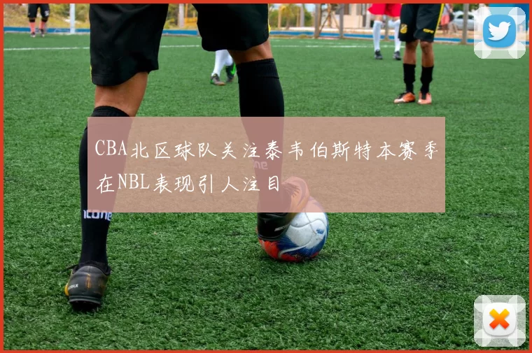 CBA北区球队关注泰韦伯斯特本赛季在NBL表现引人注目