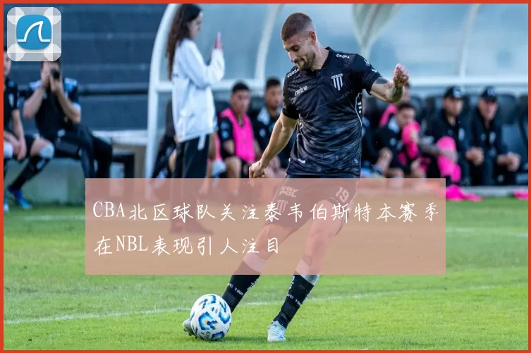 CBA北区球队关注泰韦伯斯特本赛季在NBL表现引人注目