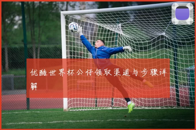 优酷世界杯公仔领取渠道与步骤详解