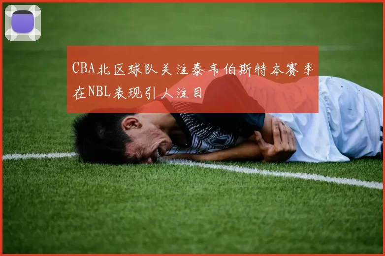 CBA北区球队关注泰韦伯斯特本赛季在NBL表现引人注目