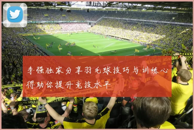 李强独家分享羽毛球技巧与训练心得助你提升竞技水平