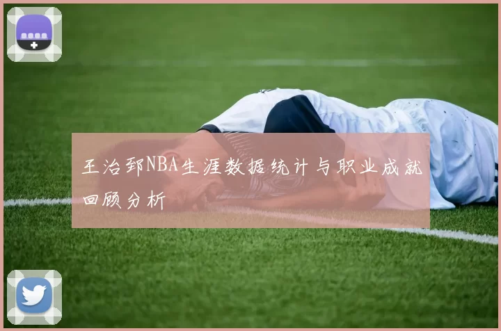 王治郅NBA生涯数据统计与职业成就回顾分析