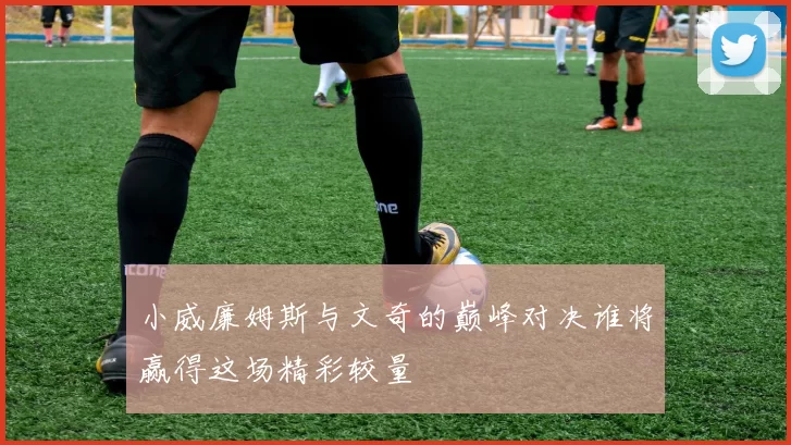 小威廉姆斯与文奇的巅峰对决谁将赢得这场精彩较量
