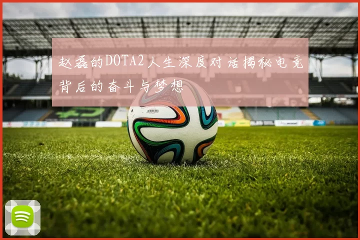 赵磊的DOTA2人生深度对话揭秘电竞背后的奋斗与梦想