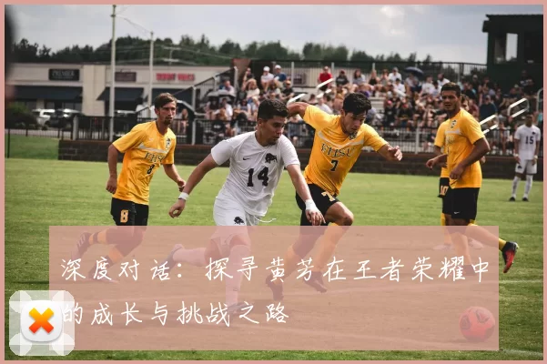 深度对话:探寻黄芳在王者荣耀中的成长与挑战之路