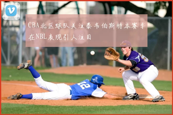 CBA北区球队关注泰韦伯斯特本赛季在NBL表现引人注目