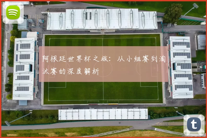 阿根廷世界杯之旅:从小组赛到淘汰赛的深度解析