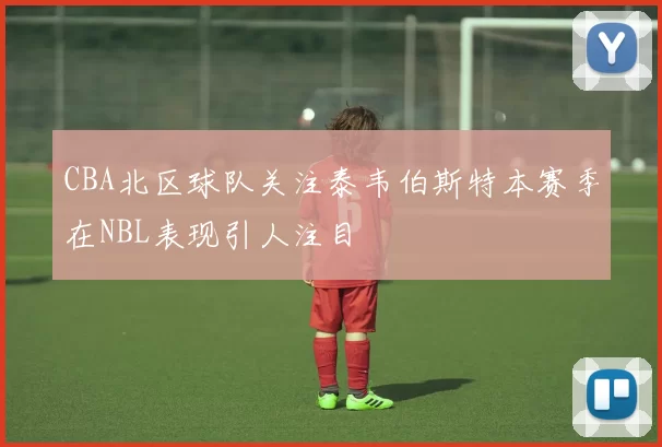 CBA北区球队关注泰韦伯斯特本赛季在NBL表现引人注目