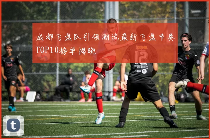 成都飞盘队引领潮流最新飞盘节奏TOP10榜单揭晓