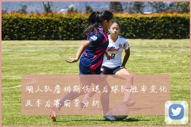 湖人队詹姆斯伤退后球队胜率变化及季后赛前景分析