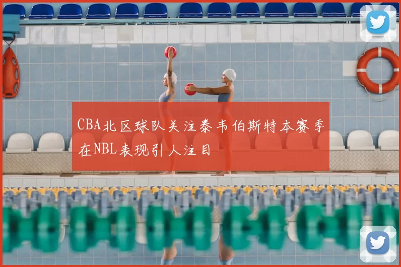 CBA北区球队关注泰韦伯斯特本赛季在NBL表现引人注目