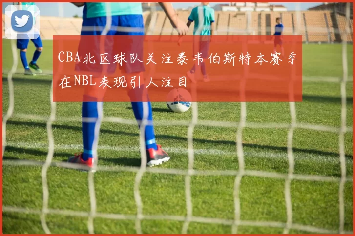 CBA北区球队关注泰韦伯斯特本赛季在NBL表现引人注目