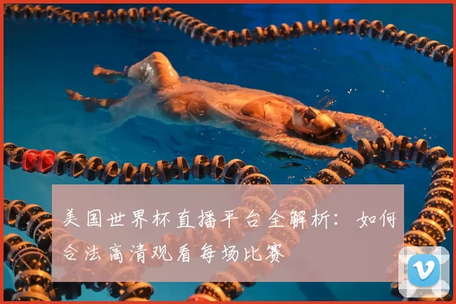美国世界杯直播平台全解析:如何合法高清观看每场比赛