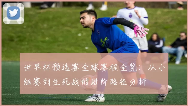 世界杯预选赛全球赛程全览:从小组赛到生死战的进阶路径分析